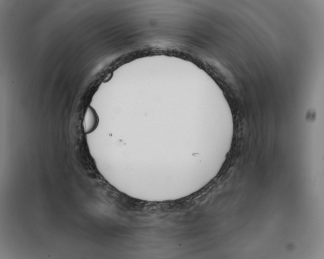 X0000101400776200808041040