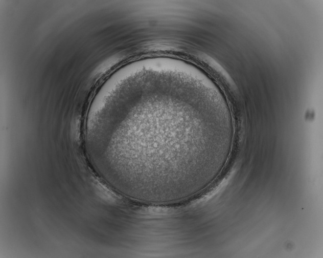 X0000101400777200808041040