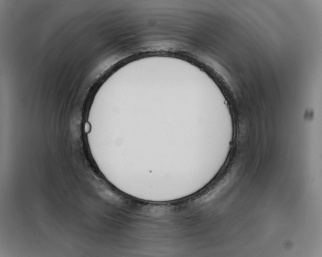 X0000101400778200808041040