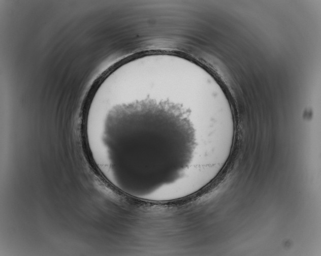 X0000101400779200808041040