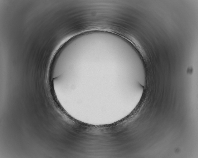 X0000101400780200808041040