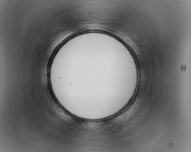 X0000101400782200808041040