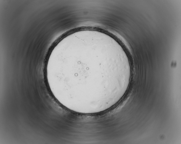 X0000101400783200808041040