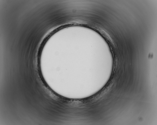 X0000101400784200808041040