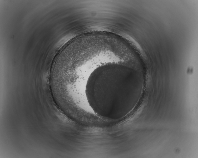 X0000101400785200808041040