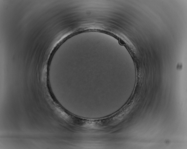 X0000101400790200808041040