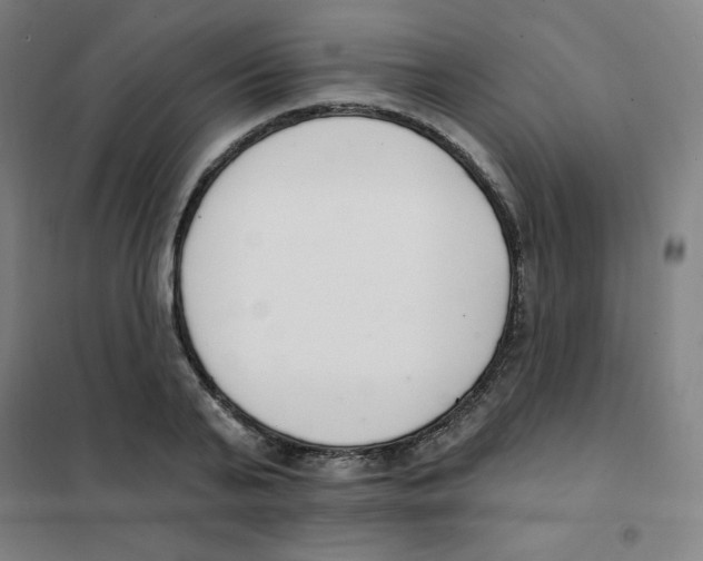 X0000101400791200808041040