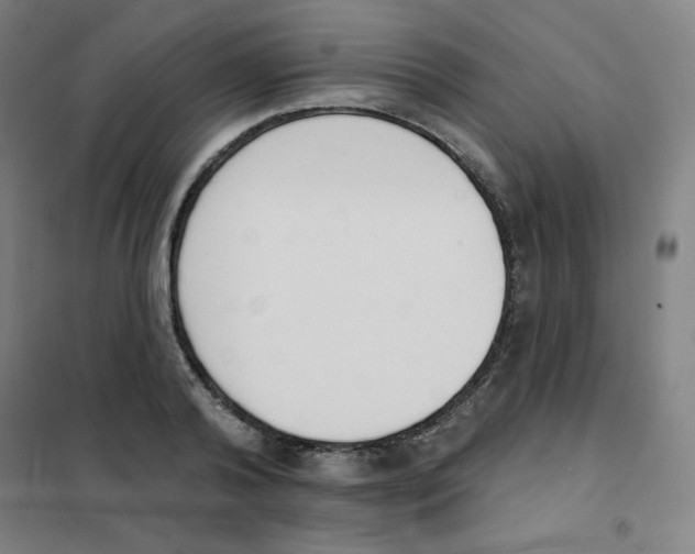 X0000101400792200808041039