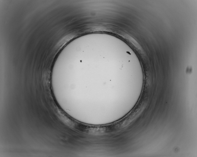 X0000101400793200808041039