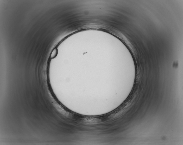 X0000101400795200808041039