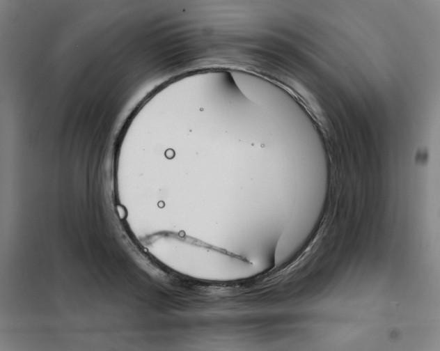 X0000101400796200808041039