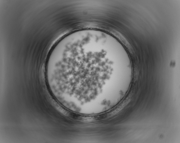 X0000101400798200808041039