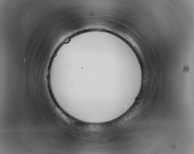 X0000101400799200808041039