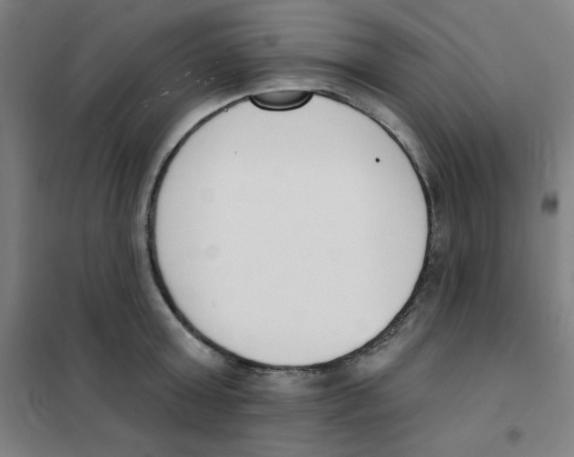 X0000101400803200808041039