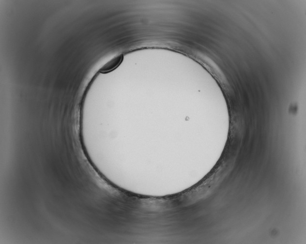 X0000101400804200808041039