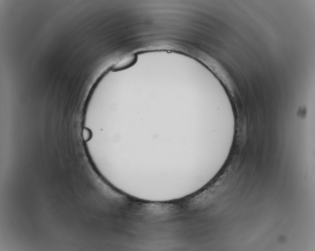 X0000101400805200808041039