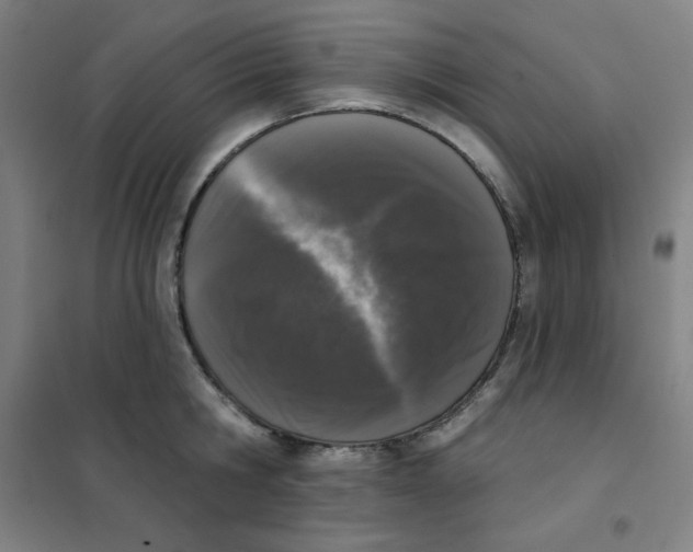 X0000101400806200808041039