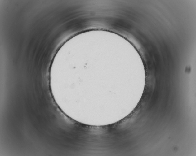 X0000101400807200808041039