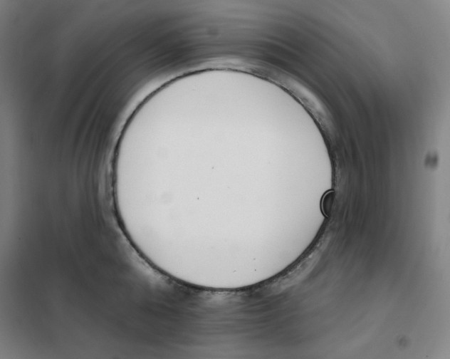 X0000101400808200808041039