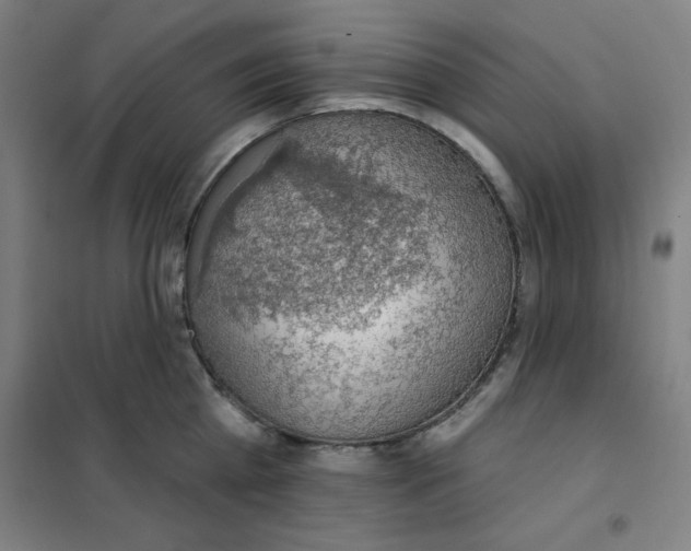 X0000101400809200808041039