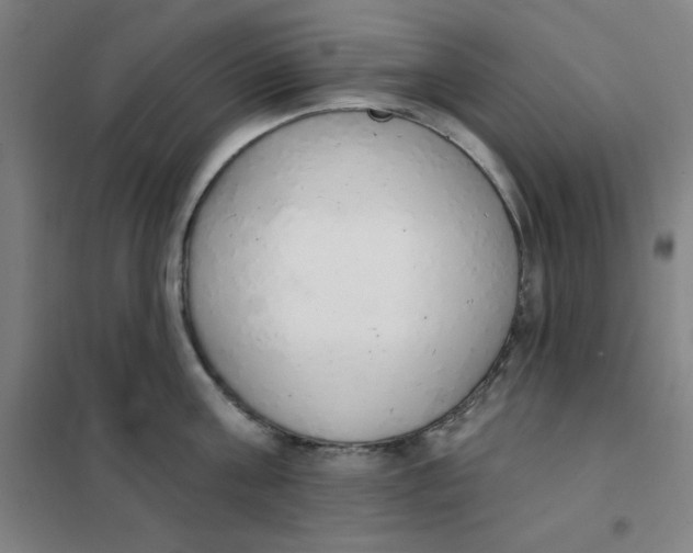 X0000101400811200808041039