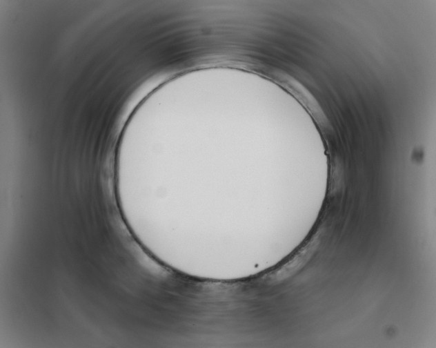 X0000101400812200808041039