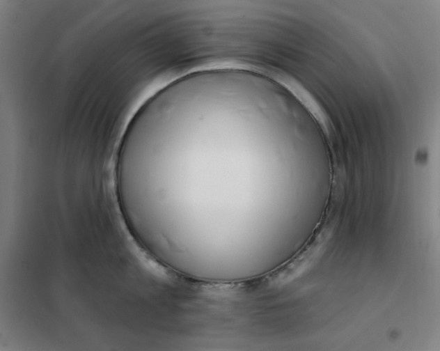 X0000101400813200808041039