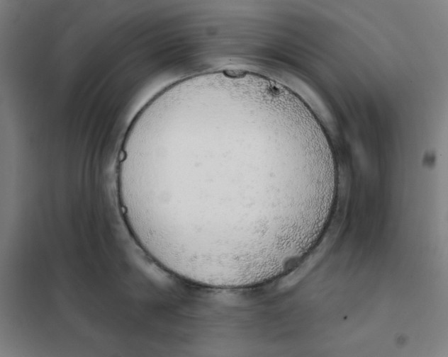 X0000101400814200808041039