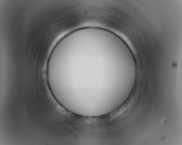 X0000101400815200808041039