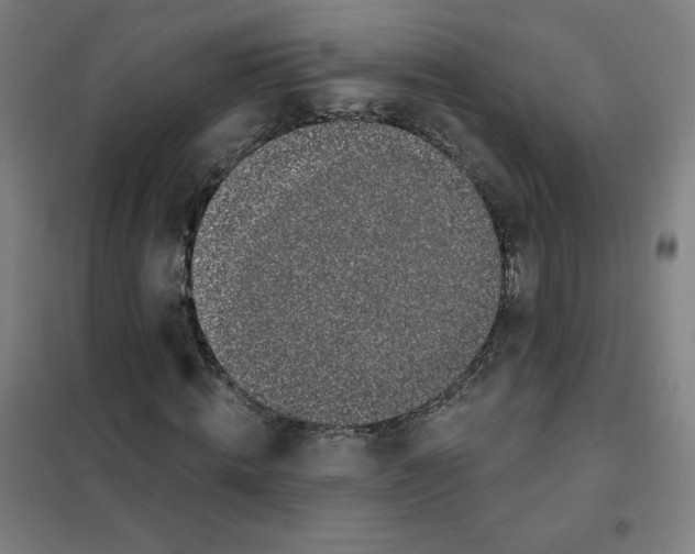 X0000101400820200808041039