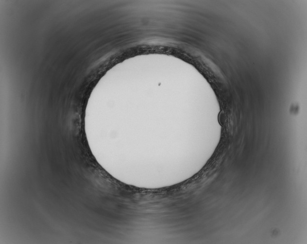 X0000101400821200808041039