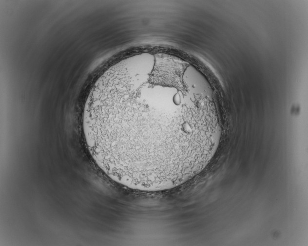 X0000101400823200808041039