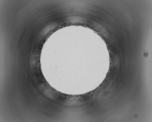 X0000101400824200808041039