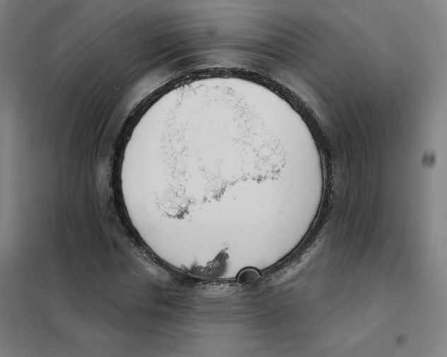 X0000101400826200808041039