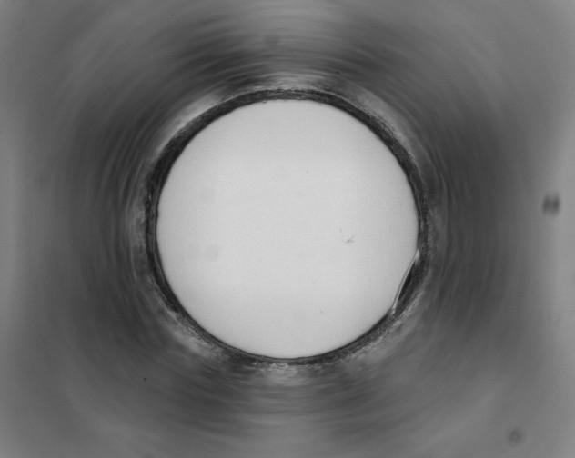 X0000101400827200808041039