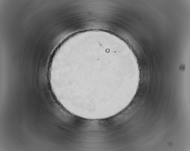 X0000101400828200808041039