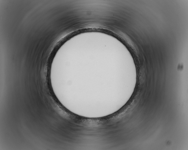 X0000101400831200808041039