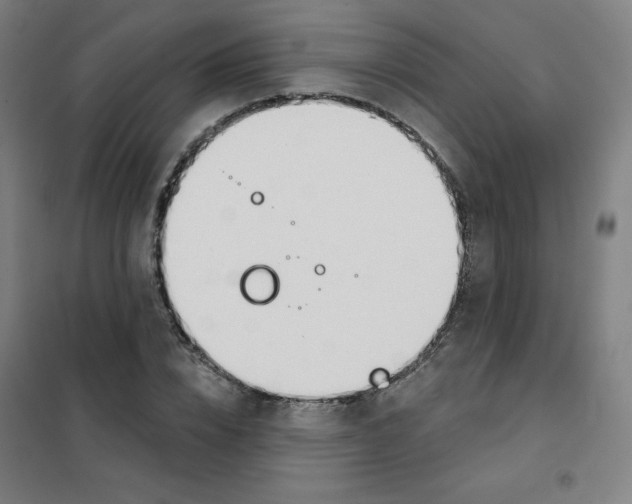 X0000101400832200808041039