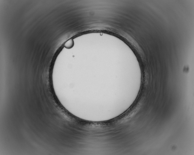 X0000101400834200808041039