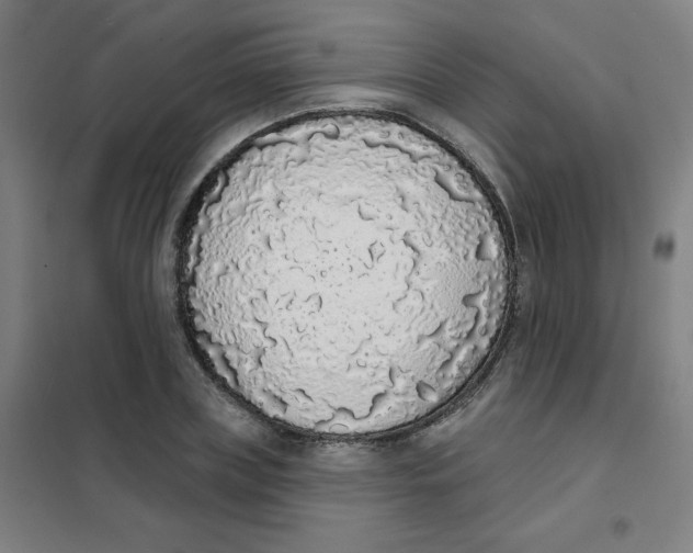 X0000101400835200808041039