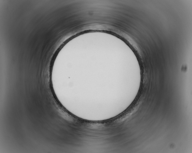 X0000101400837200808041039