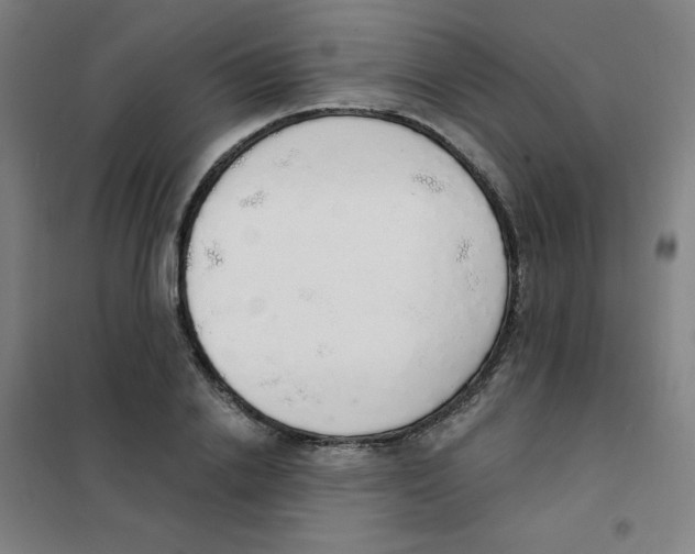 X0000101400838200808041039