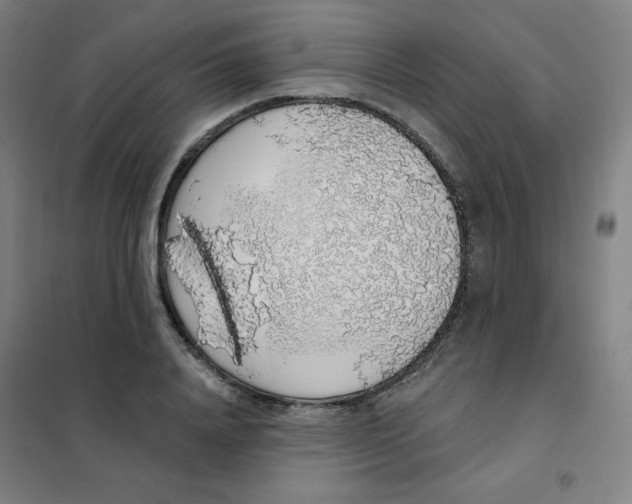 X0000101400840200808041039