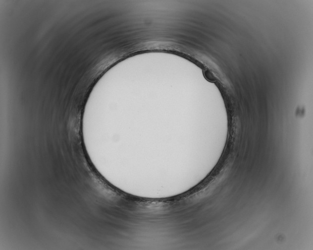 X0000101400841200808041039