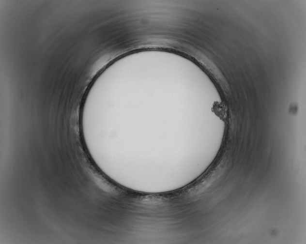 X0000101400842200808041039