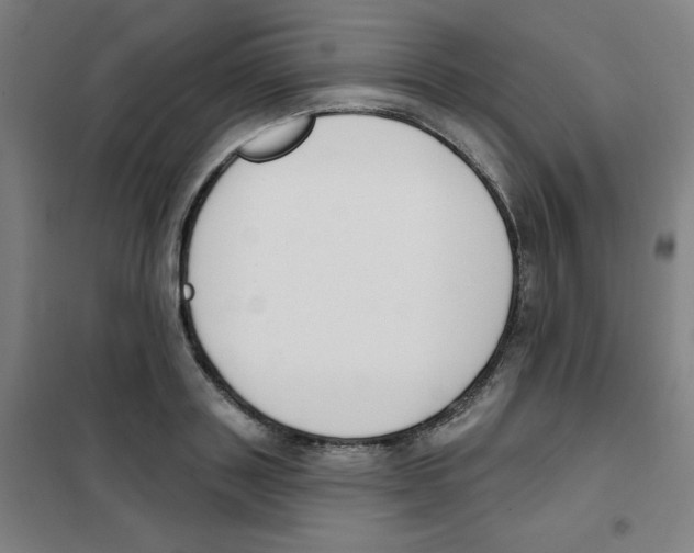 X0000101400843200808041039