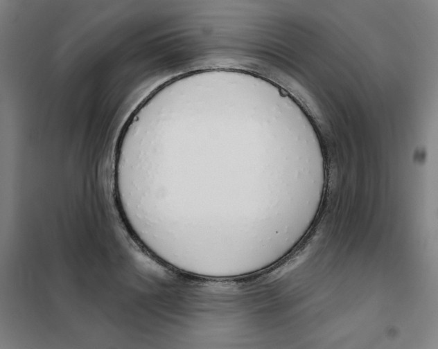 X0000101400844200808041039