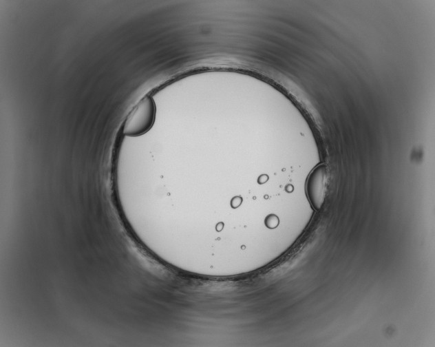 X0000101400845200808041039