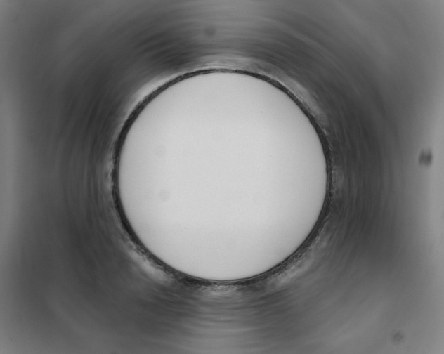 X0000101400846200808041039