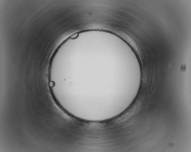 X0000101400847200808041039